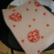 Marienkäfer <span>32,00 Euro</span>