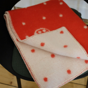 Marienkäfer <span>32,00 Euro</span>